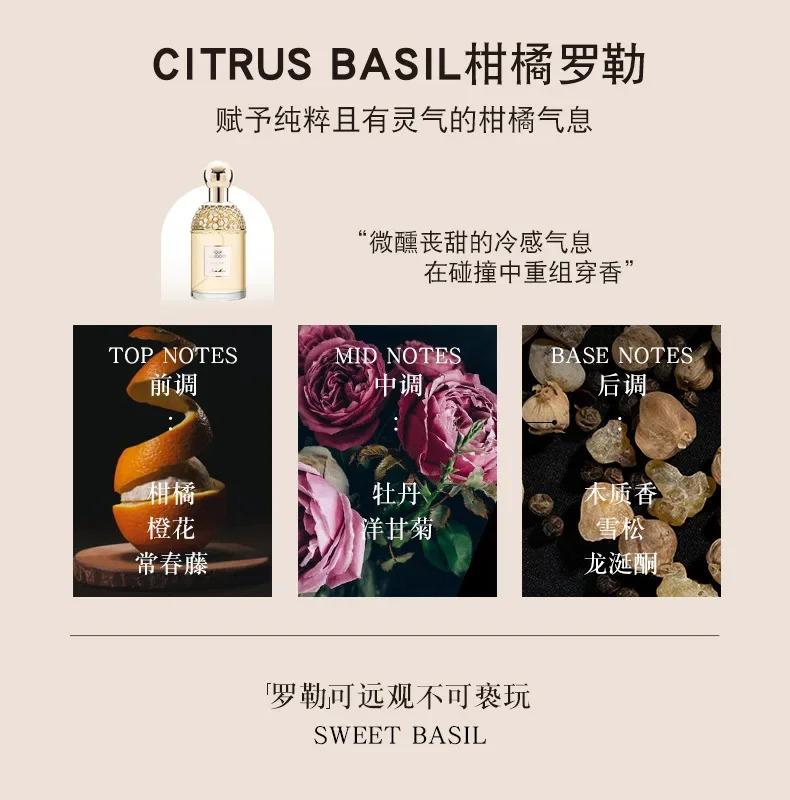 Long Lasting Fragrance for Women Men 100ml Eau De Parfum Classic Fresh Scent Daily Use Perfume High Quality Fast Shipping