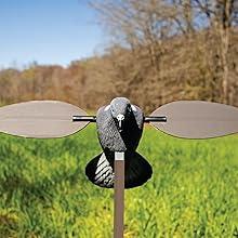 Elite Series Dove Spinning Wing Dove Decoy For Dove Hunting