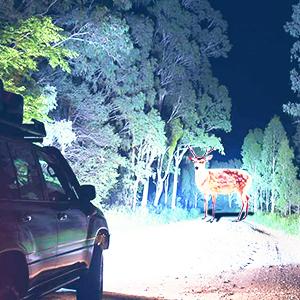 Nilight 1999 2000 2001 2002 2003 2004 2005 2006 GMC Sierra Yukon Headlight Assembly Black Case Amber Reflector