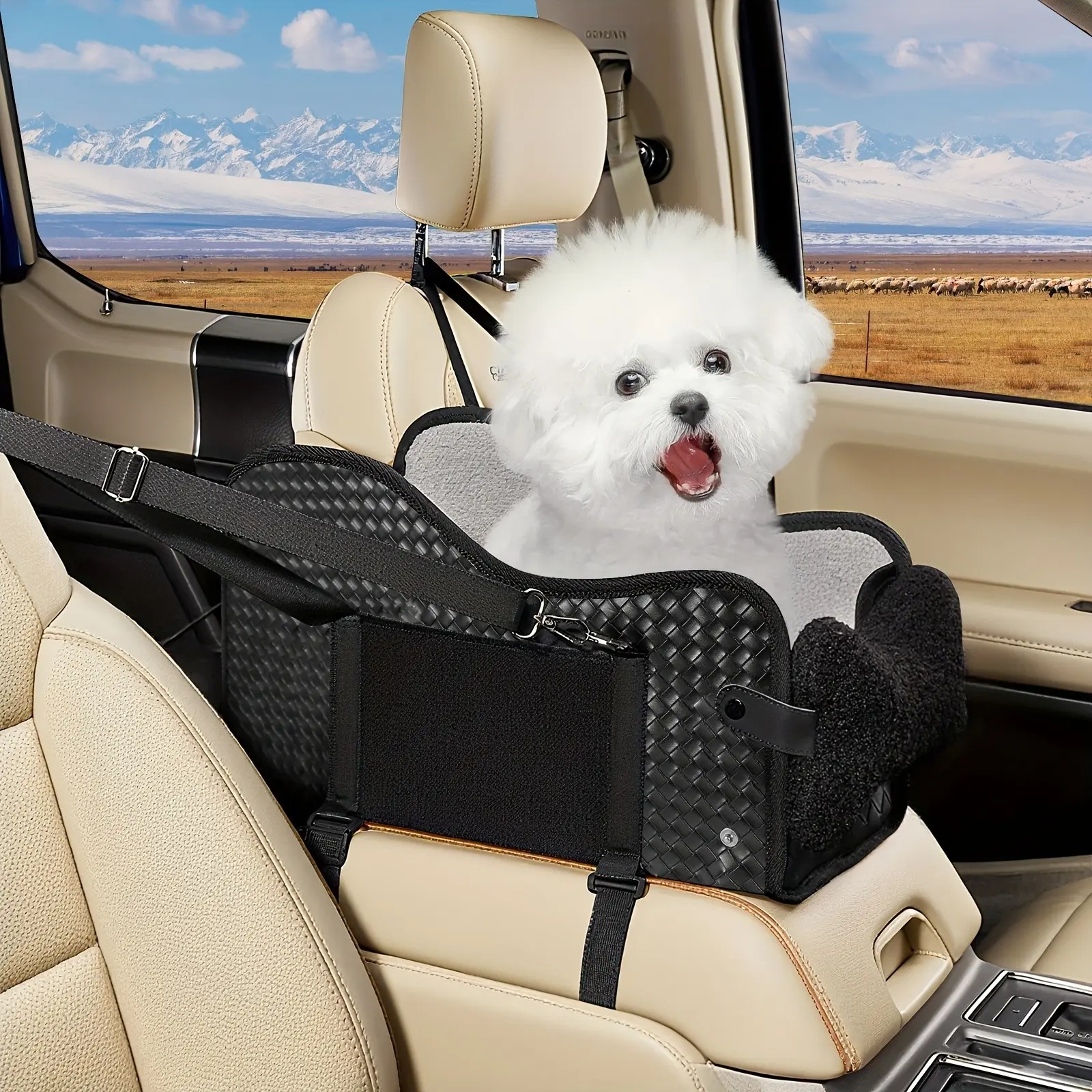 Comfortable Central Console Pet Seat, Portable Elevated Seat, Luxury Car Seat for Cats and Dogs, Safety Buckle, Breathable Mesh, Soft Padding