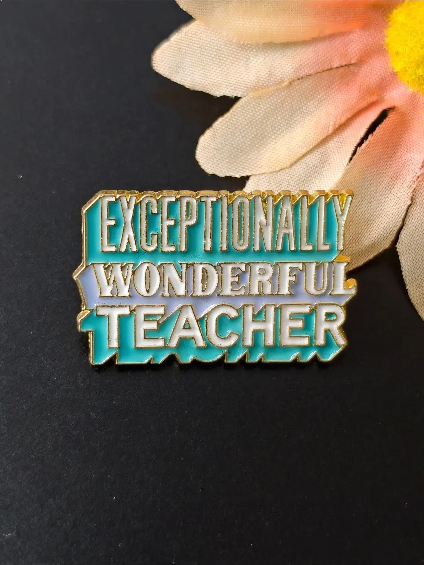 "Exceptionally Wonderful Teacher" Enamel Pin, Pastel Color Text Lapel Badge for Clothes Bags, Appreciation Teacher Gift Brooch, Alloy Brooch Pin, Thank You Gift For Educators School Teachers