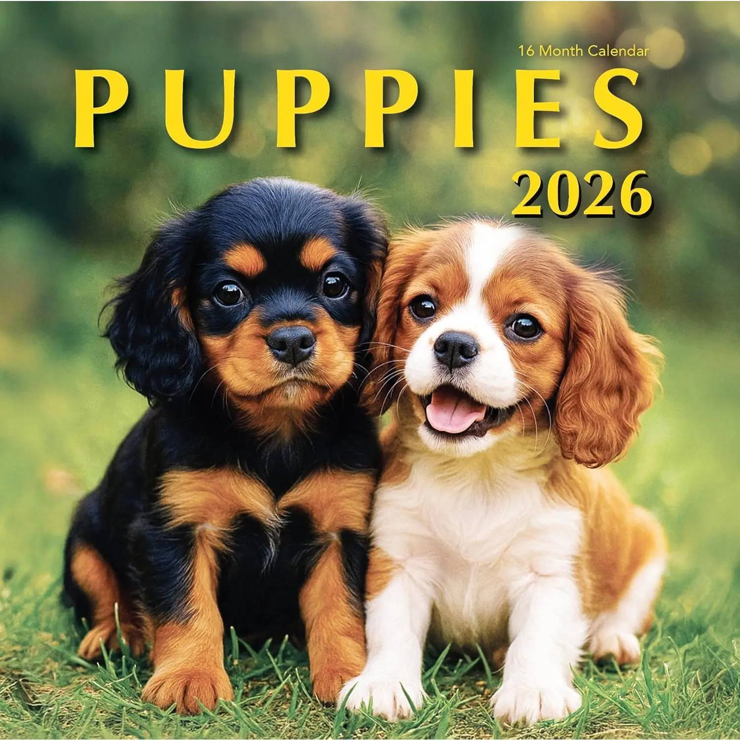 2026 Puppies Hangable Wall Calendar Cute Funny  Photo Gifts Puppy Dogs Photography Large Full Page 16 Months for Organizing & Planning  for Her (2026 Puppies)