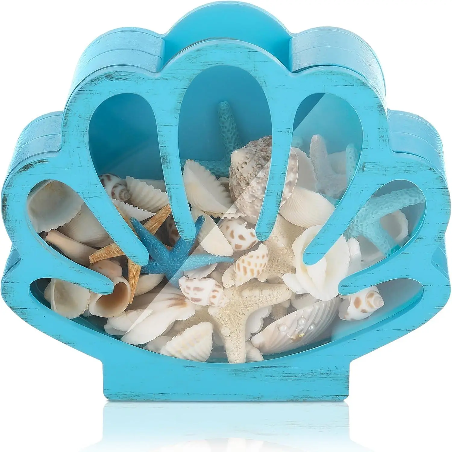 Wooden Seashell Box Clear Lid Shell Holder,Blue,Shell | Display Case for Starfish, Sea Rocks,  , Coastal Decor,  Window Protection, Collection Organizer