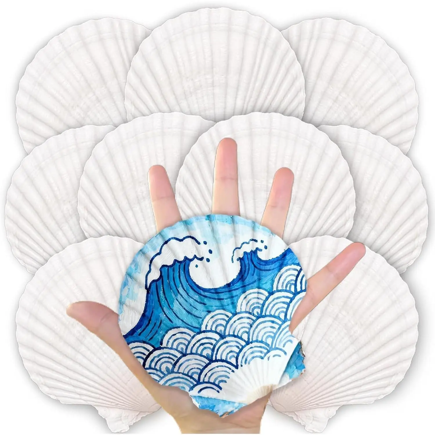 10PCS Natural Scallop Shells for Crafts, 4-5 in White Sea Shells, DIY Decor | Smooth, cleaned surfaces suit painting, resin art, candle making, baking displays, weddings, classrooms and ocean parties.
