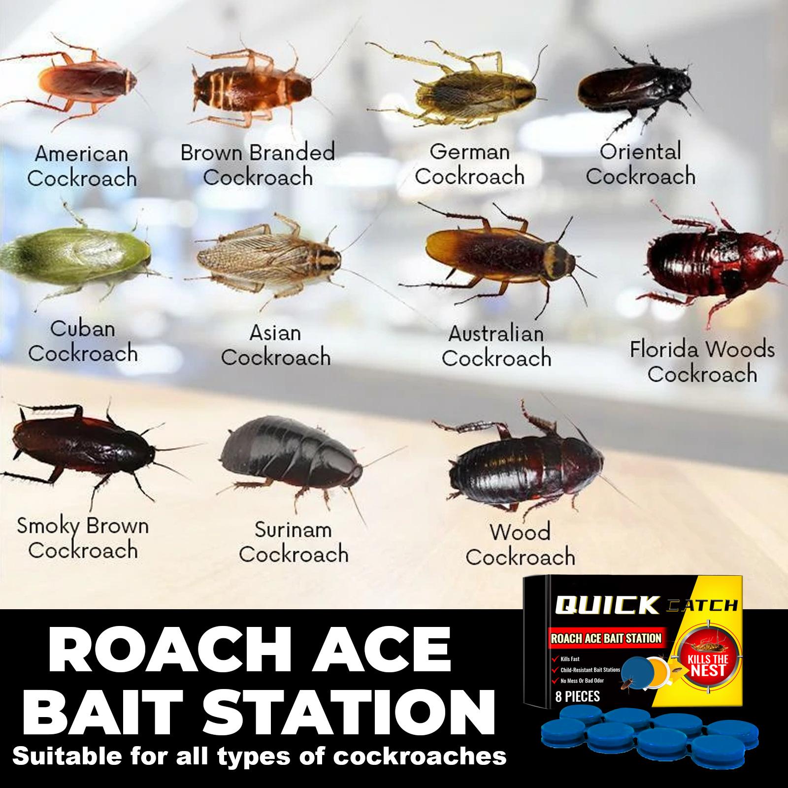 Cockroach bait station, insect repellent, cockroach bait for kitchen and home, cockroach extermination cleaner
