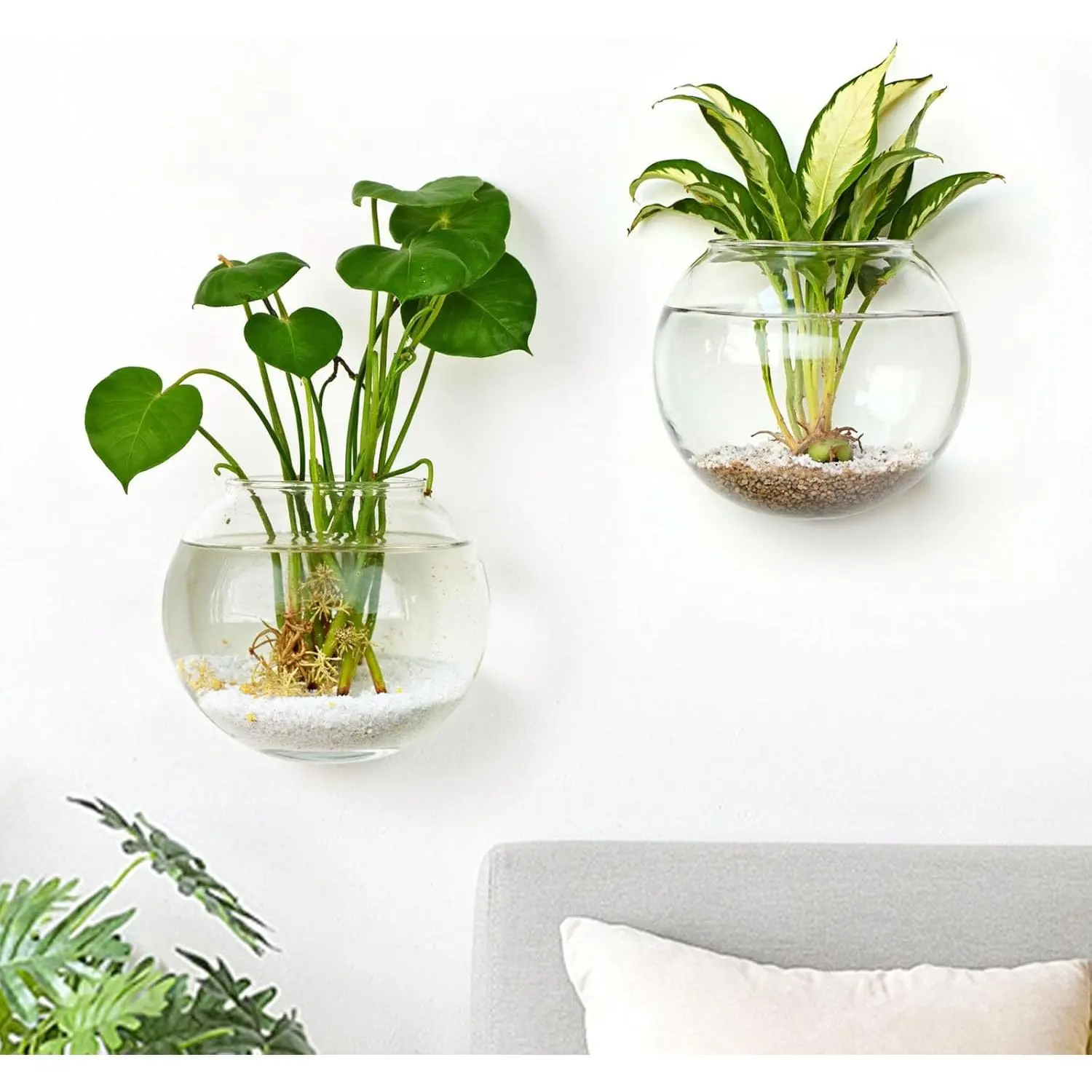 2PCS Wall Flower Vases, Wall Hanging Glass Planter Propagation Station Mounted Vases for Hydroponics Plants Propagation Living Room Office Home Decor (5 inch)