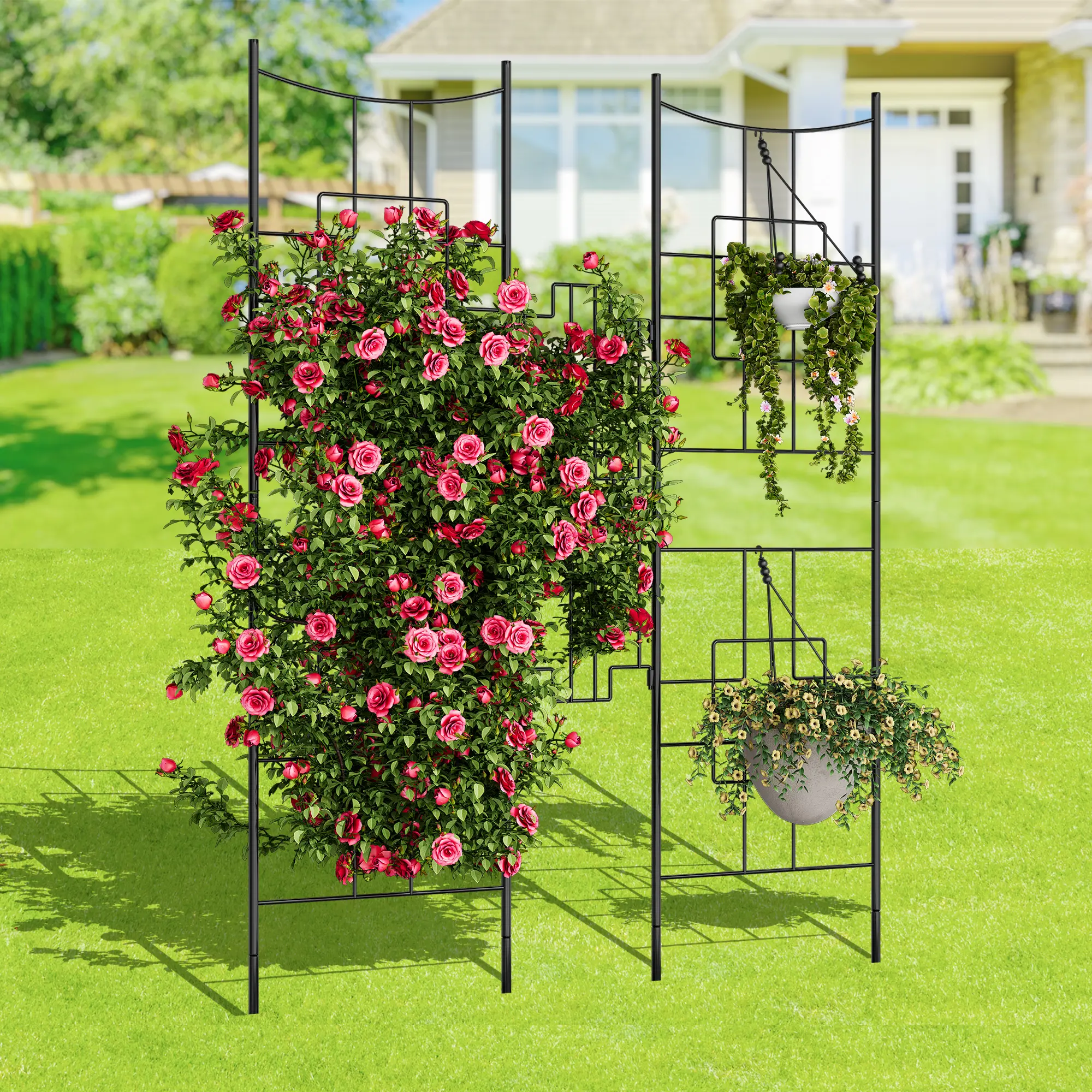 Heavy Duty 5.5FT Black Metal Garden Trellis Arch – Rustproof Decorative Outdoor Privacy Fence Panel – Plant Support Frame for Climbing Roses, Vegetables, Flowers – 2 Pack