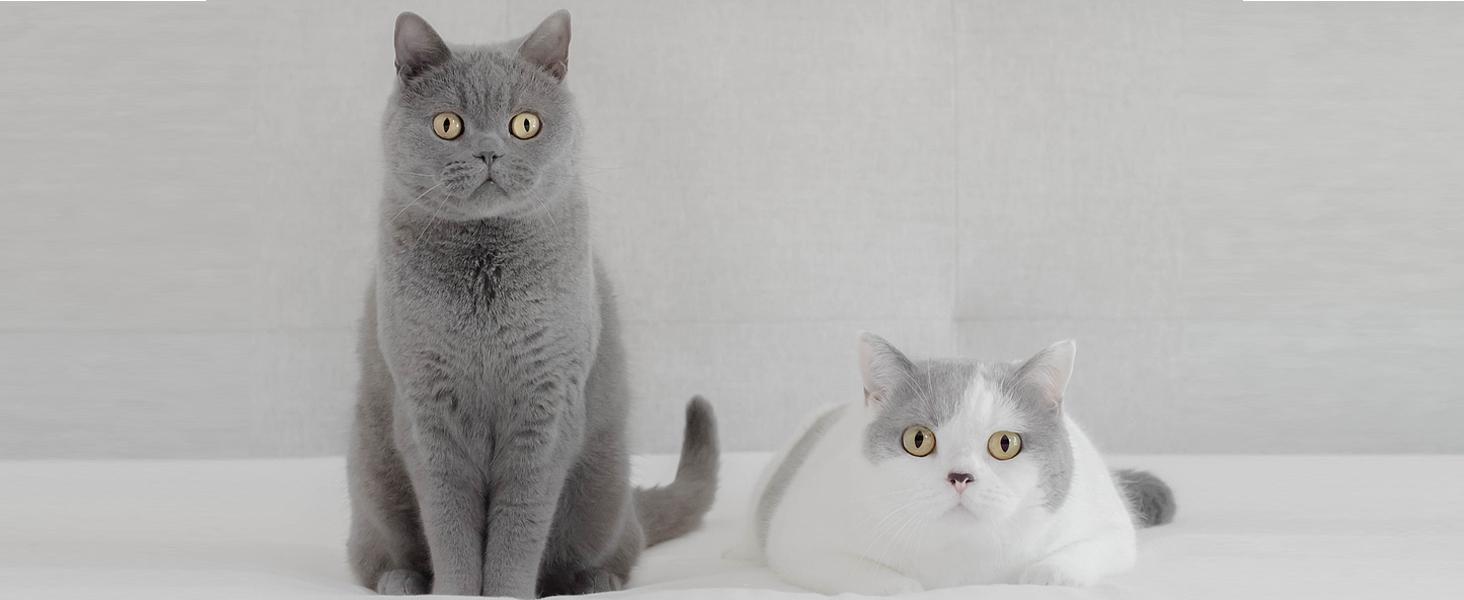 Queen Size Waterproof Mattress Protector Viscose Derived from Bamboo, Soft Mattress Cover Fitted with Deep 8"-21", Breathable Noiseless Mattress Pad, Machine Washable (White)