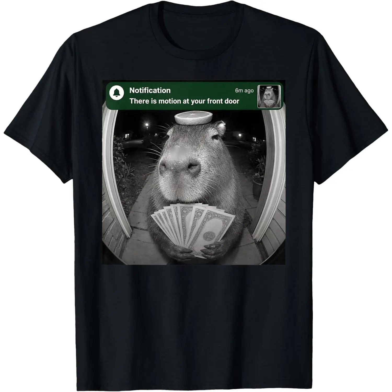 Capybara Motion At Your Front Door Funny Meme Doorbell Cam T-Shirt