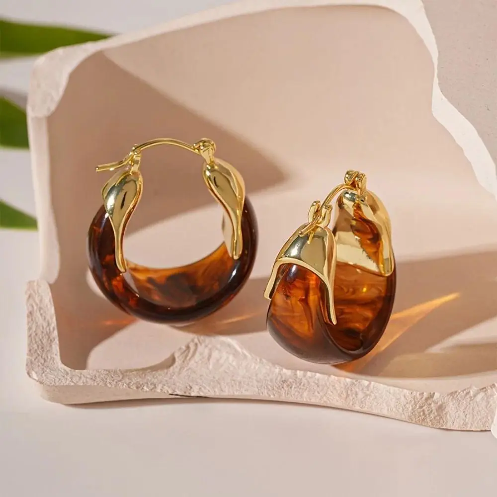 Pendant Amber Color Earrings Light Luxury Autumn Winter Vintage Women's Earrings Fashion Jewelry Temperament Amber Ear Stud