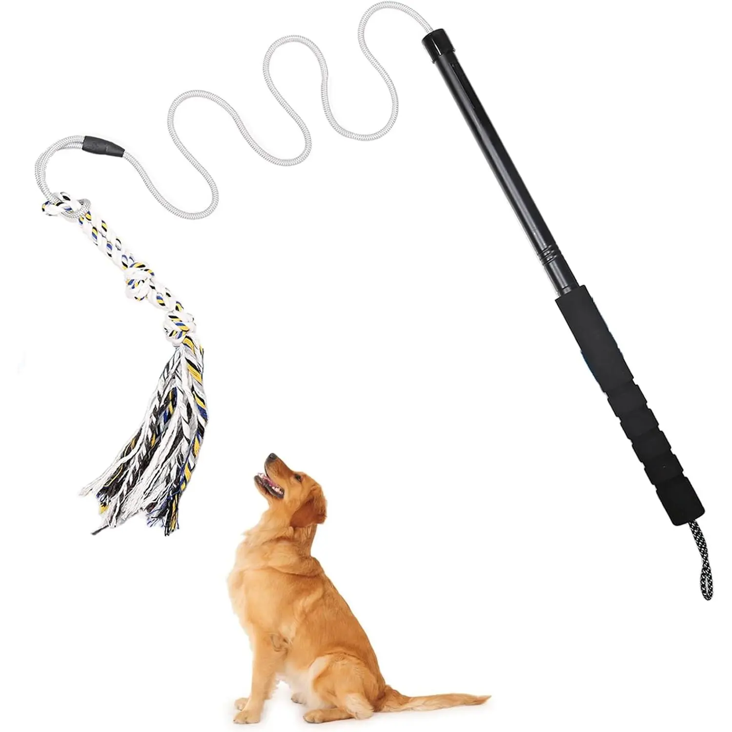 Heavy Duty Dog Flirt Pole - Outdoor Interactive Chase & Training Toy, Durable Wand with Rope, Designed for Small & Medium Dogs, Not a Chewing Toy, Outdoor Exercise, Rope/Tug Toy