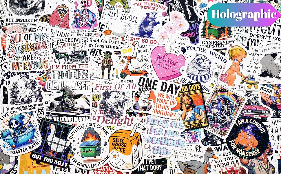 200 PCS Funny Holographic Stickers for Adults, Waterproof Vinyl Sarcastic Meme Decals for Laptop, Water Bottle, Phone, Kindle, Journal, Scrapbook, Bumper, Skateboard, Luggage, No Repeats