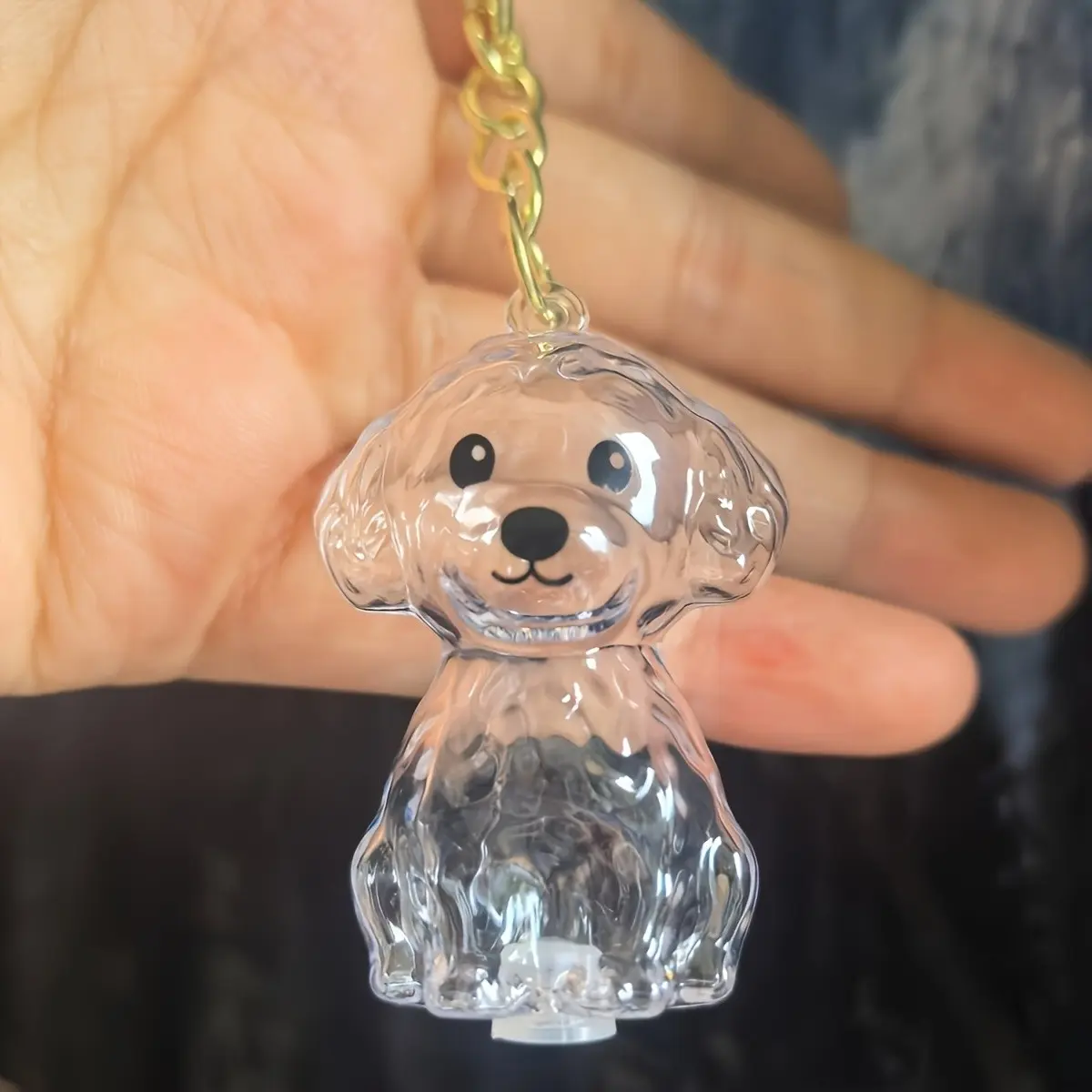 Pet Hair Memorial Box, Transparent Poodle Puppy Pendant, Durable Pet Memorial Keychain, Customizable Hair Collection Gift for Dog Lovers, Animal Keychain
