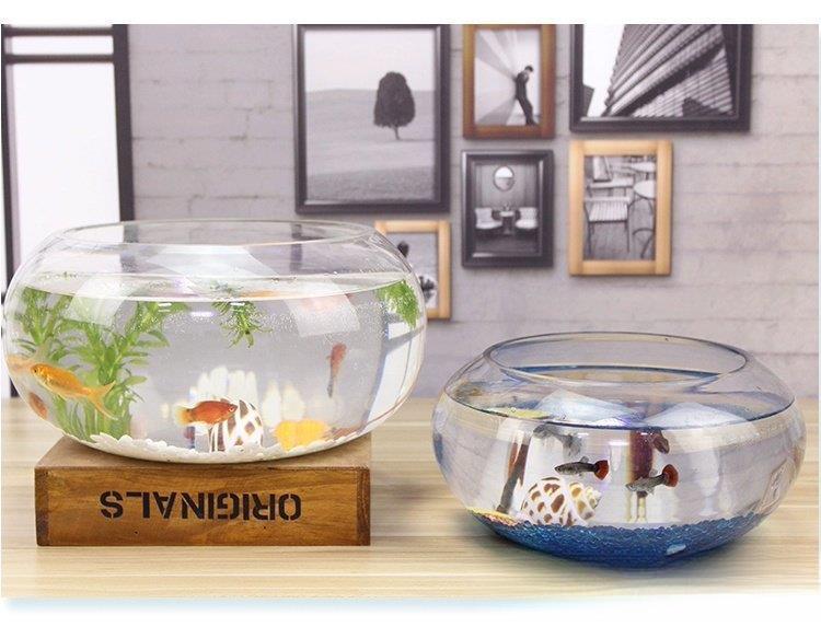 Creative Round Transparent Glass Aquarium Tank - Hydroponics Compact 20*10cm, Easy Access for Fish, Home Decor for Office Desks, Options: 20 Drum Cylinders+6-Piece Colored Stones Set, 30 Drum Cylinders+Colored Stones+Fish Food Set, Turtle