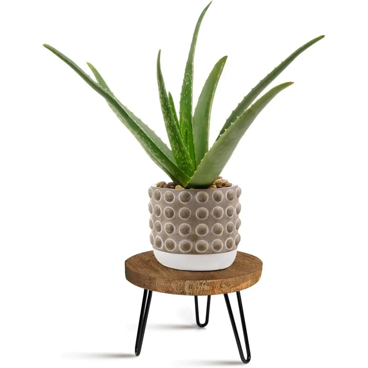 Plant Stand Indoor Outdoor, Wooden plant Stool, Mid Century Plant Stand for Indoor Plants, Wood Modern Plant Holder Rattan Flower, Low Short Boho Rustic Planter Stand Fit 5-15 Inch Pot(M)