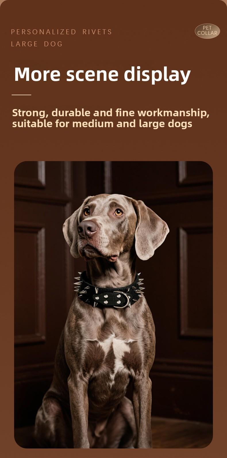 Wide Studded Dog Collar – Anti-Bite, Street Style, Heavy Duty & Tug Resistant
