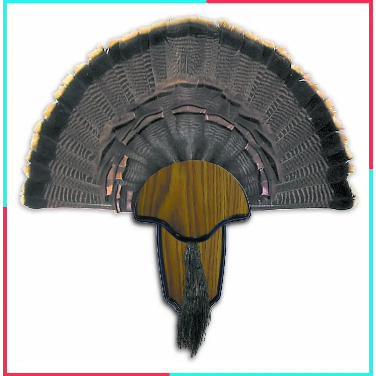 Strut Turkey Tail & Beard Trophy Mounting Kit - Durable, Easy to Assemble, Hardware Included