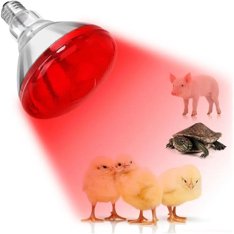 Infrared Red Heat Lamp Bulb 150W, Flood Light Heating Bulb for Chickens, Brooder Coops, Pets, Chicks, Reptiles, Food Service (1 Pack)Gift
