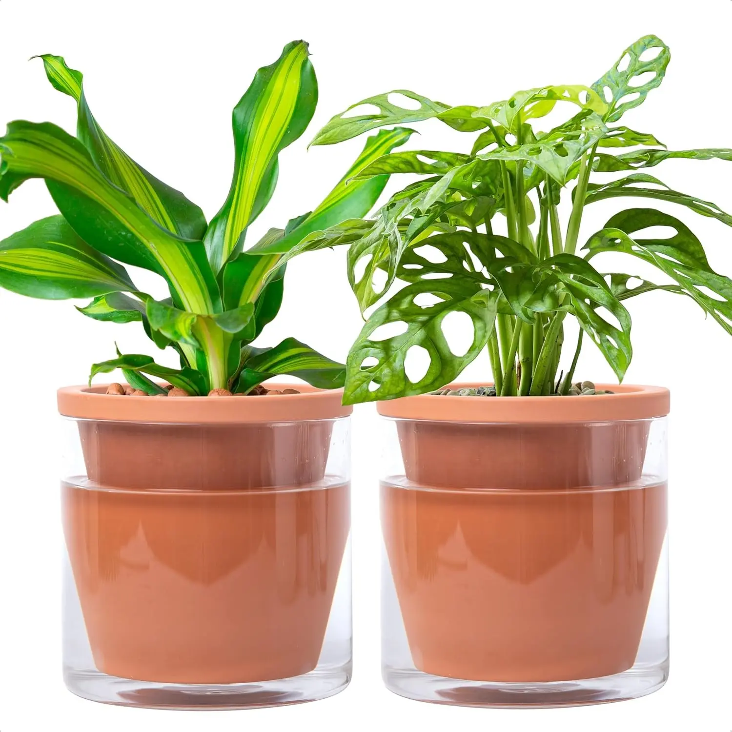 6 Inch Design Self Watering Pot for Indoor Plants, Terracotta Planter with Cylinder Glass Cup, Set of 2, 37-Y-B-1