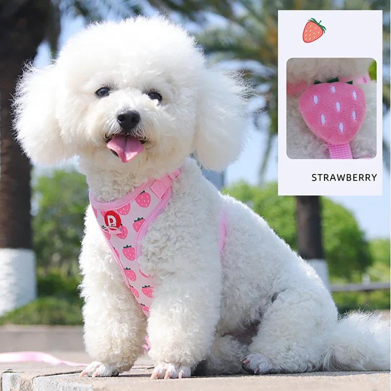 Comfortable Vest Style Dog Harness for Small Breeds - No-Pull Breathable Pet Harness with Leash  Dog Accessories