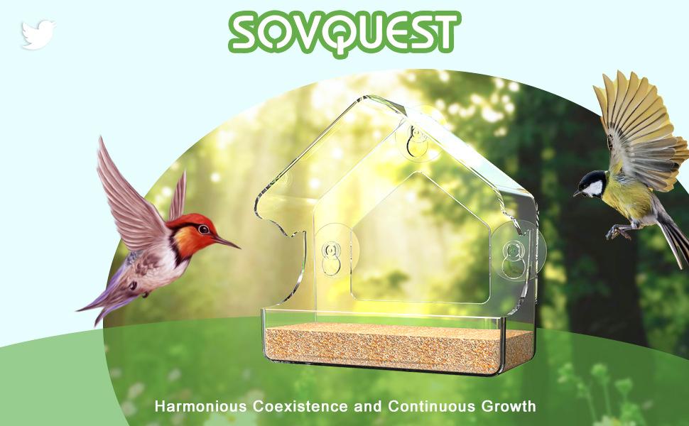 Acrylic Window Bird Feeder, Transparent Wall-Mounted Wild Bird Feeding Tray, Clear Strong Suction Cup Outdoor Feeder for Cardinals Finches Bluebirds, Weatherproof Seed Tray for Garden Patio