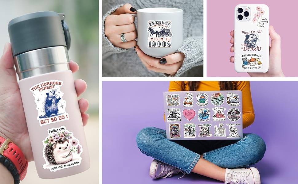 200 PCS Funny Holographic Stickers for Adults, Waterproof Vinyl Sarcastic Meme Decals for Laptop, Water Bottle, Phone, Kindle, Journal, Scrapbook, Bumper, Skateboard, Luggage, No Repeats