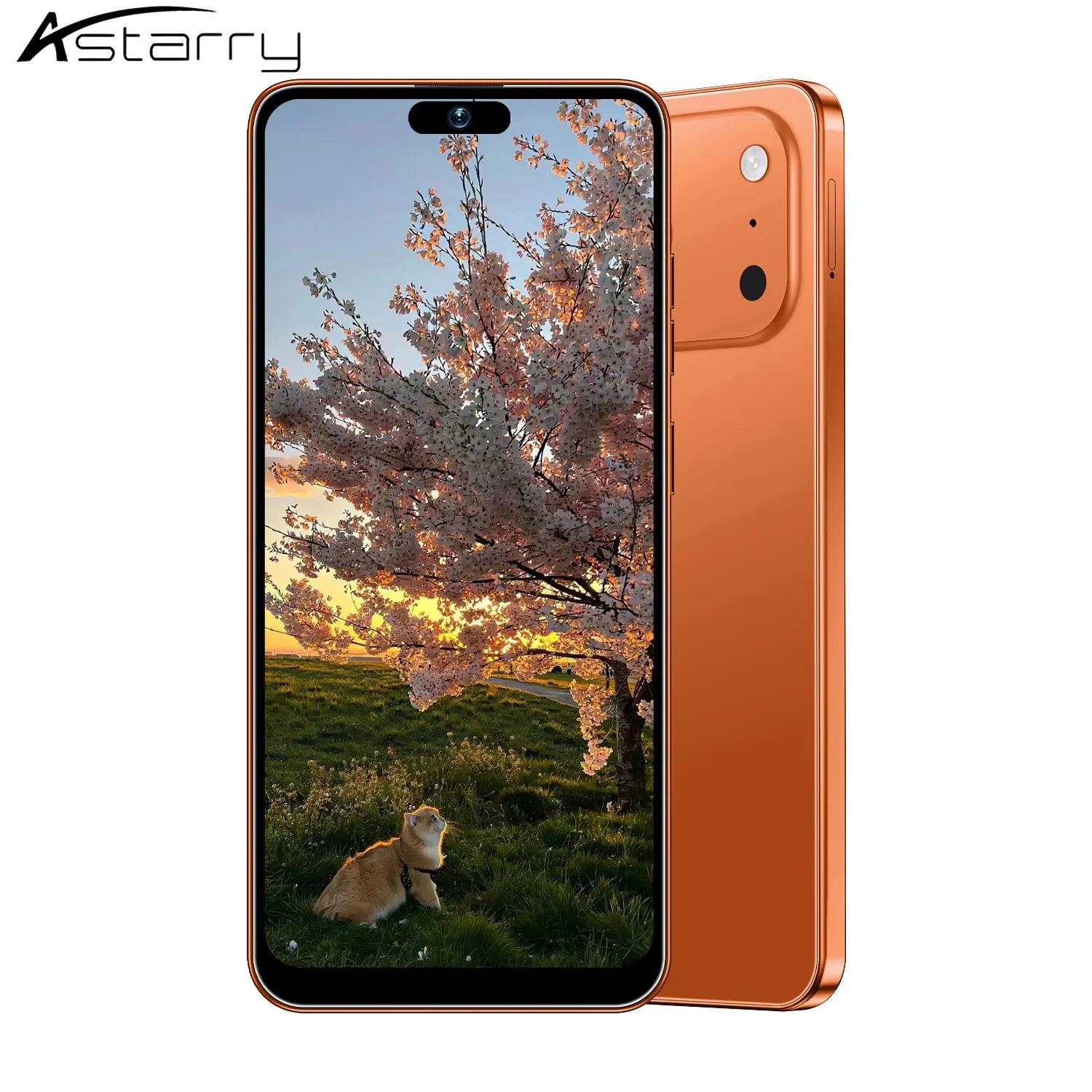 Astarry- Smart 17 Pro Max Android Phone, 64GB Storage, 4GB RAM, 6.93-Inch HD Display, 4100mah Battery, Dual Sim, 5+13mp Camera, Face ID, TF Card Support
