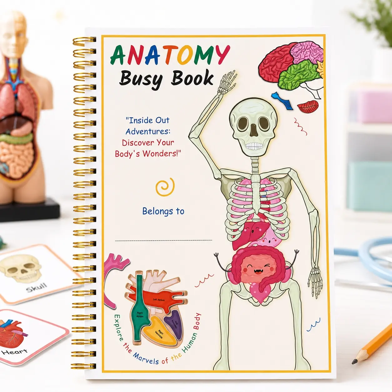 Anatomy Busy Book for Kids, Human Body Learning Activity Workbook, Fun Skeleton and Organ Study Guide, Interactive Educational Book, Science Gift for Curious Children, Preschool Learning Materials
