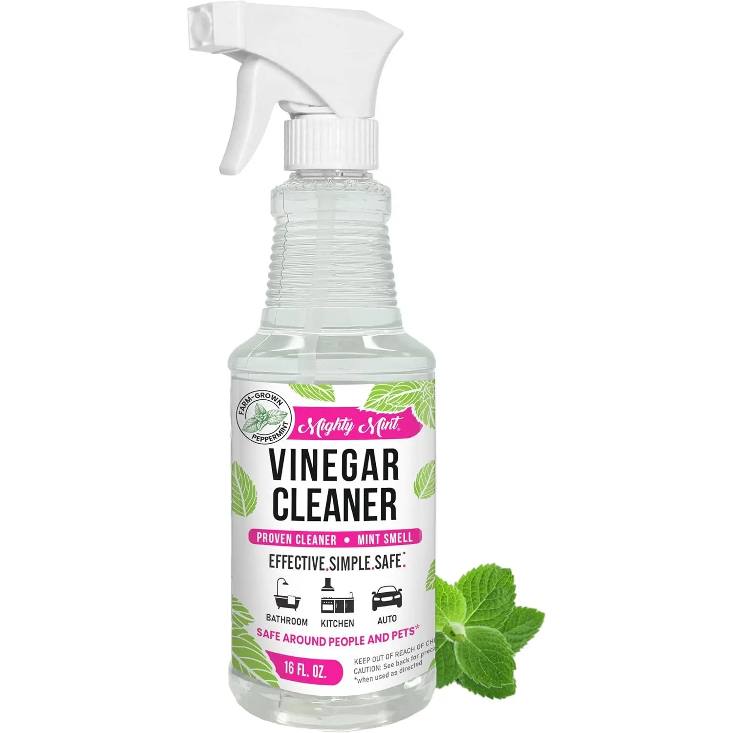 Spearmint Scent Vinegar All-Purpose Cleaner Spray, 16 Oz