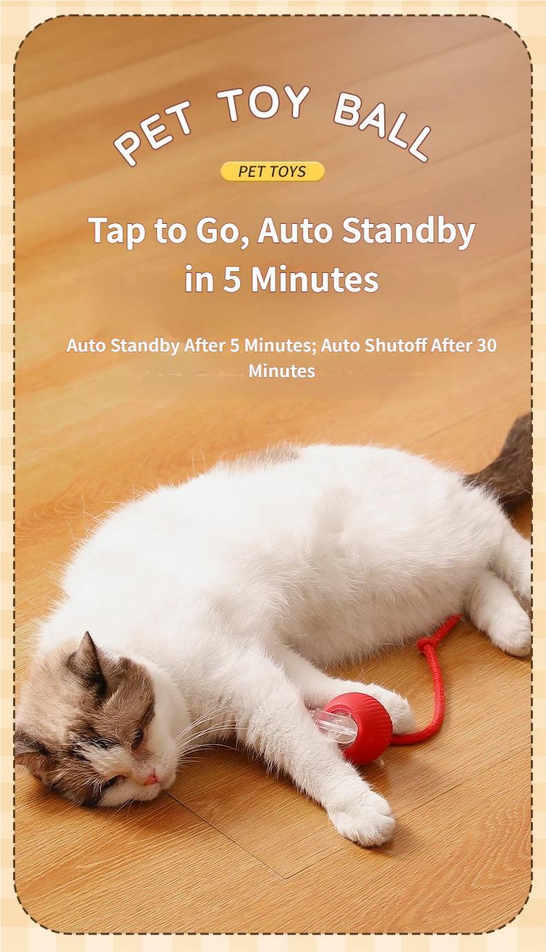 Interactive Cat Toy Ball, Automatic Rolling Pet Toy with Tail, Smart Obstacle Avoidance Cat Toy, Rechargeable Kitten & Small Dog Toy, Keeps Cats Busy, Indoor Self Play, Bite Resistant Silicone, Quiet and Easy to Clean