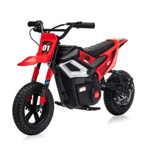 24V Kids Electric Dirt Motor, 350W Brushless Motor Max 14MPH, 12" Fat Tires & Rear Spring Suspension, Disc Brake Bluetooth USB Music Mini Off-Road Motorcycle, Max 130LBS Load for Teens 10 Years Up