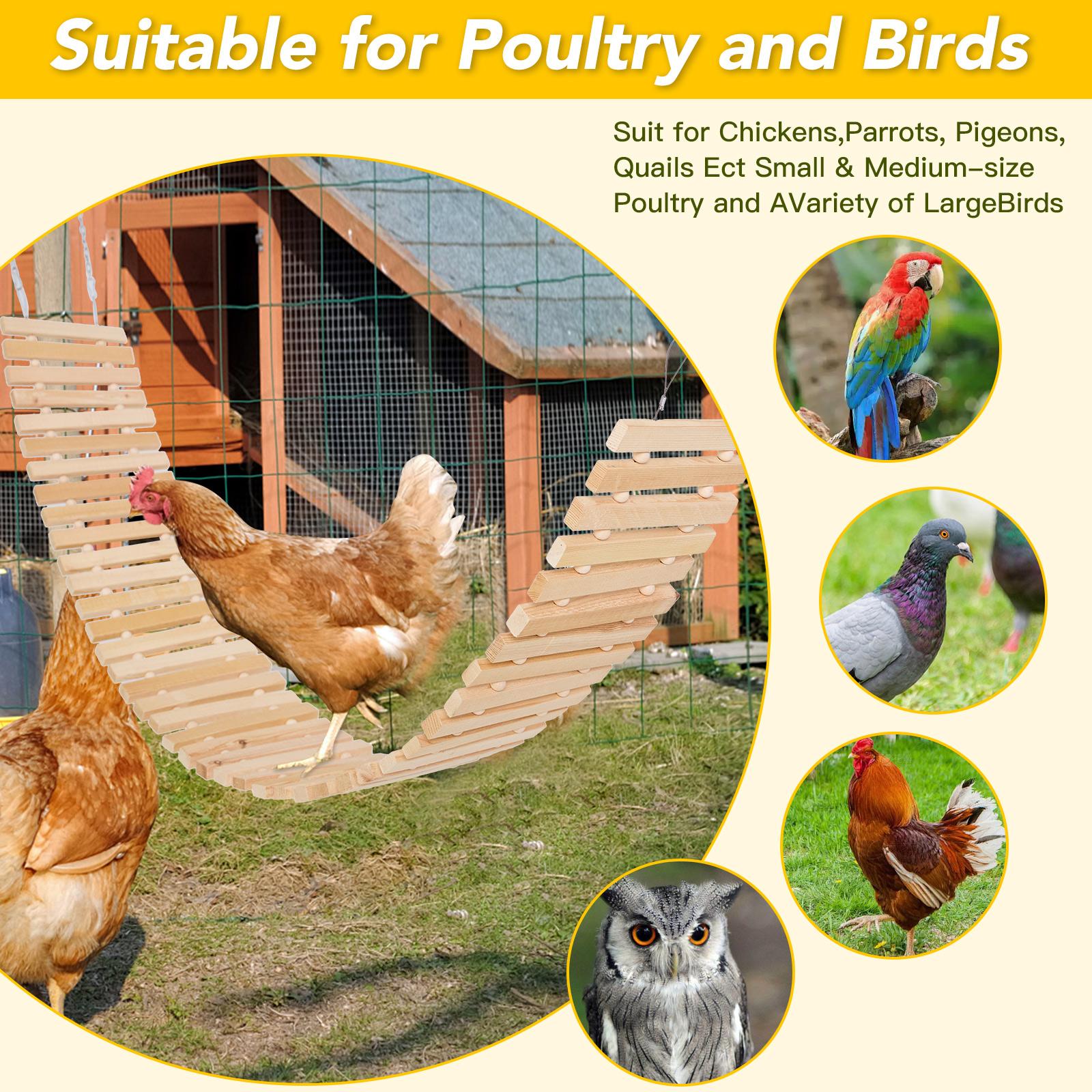 Outside Chicken Coop Toy Chicken Toys for Hens Natural Wood Chicken Ladder outdoor Chicken Swing Chicken Perch for Birds Poultry Rooster Chicks