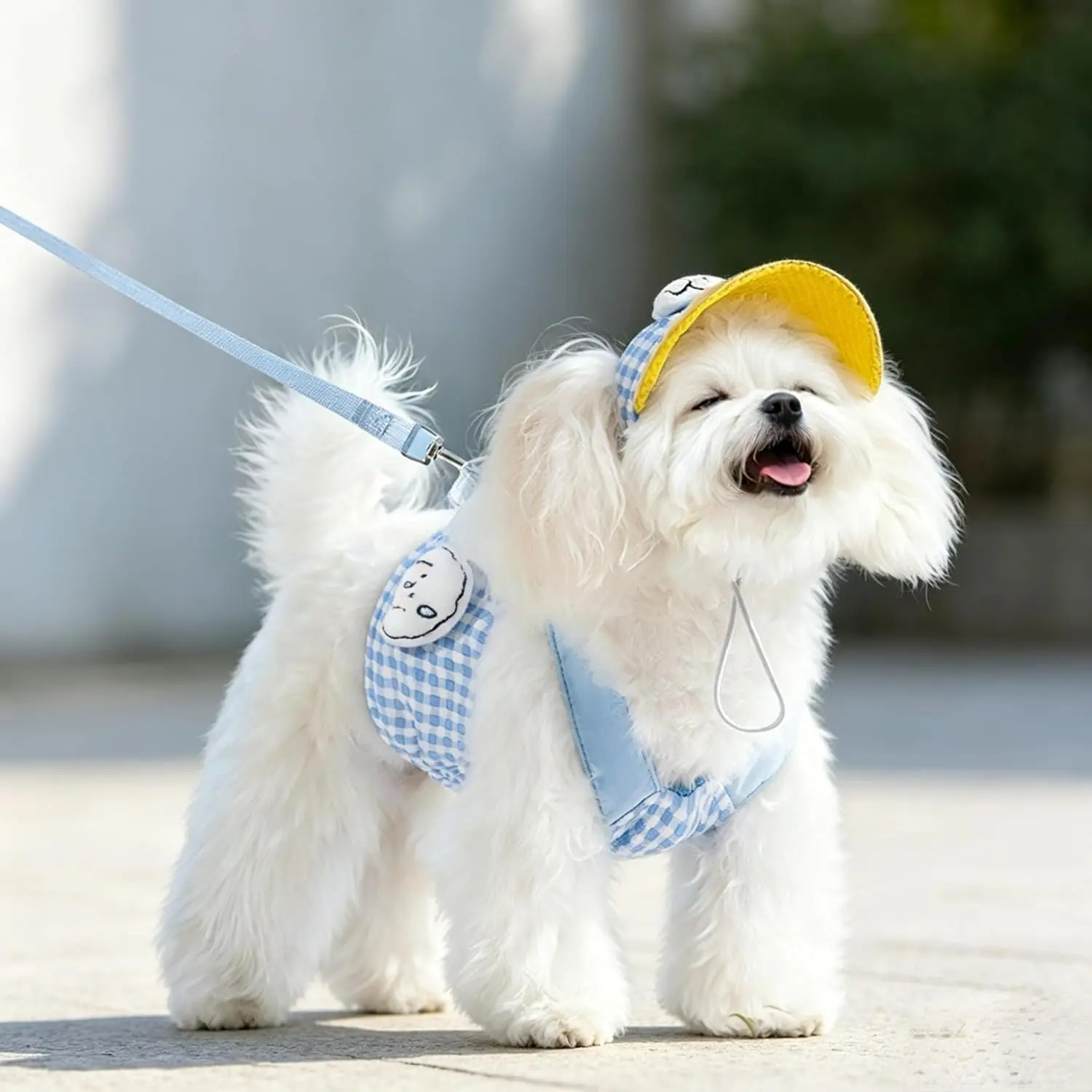 3-Pieces Pet Outfit Set for Small/Medium Cats & Dogs - Breathable Washable Harness + Leash, Baseball Cap, Dual Secure, Party Wear (Blue, Medium)