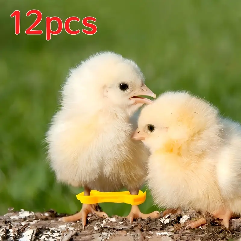 12Pcs Poultry Chick Leg Correction Braces, Leg Support Rings for Duckling, Quail & Parrot with Splay Leg, Juvenile Bird Leg Fixing Holder, Farm Bird Healing Foot Ring Accessories