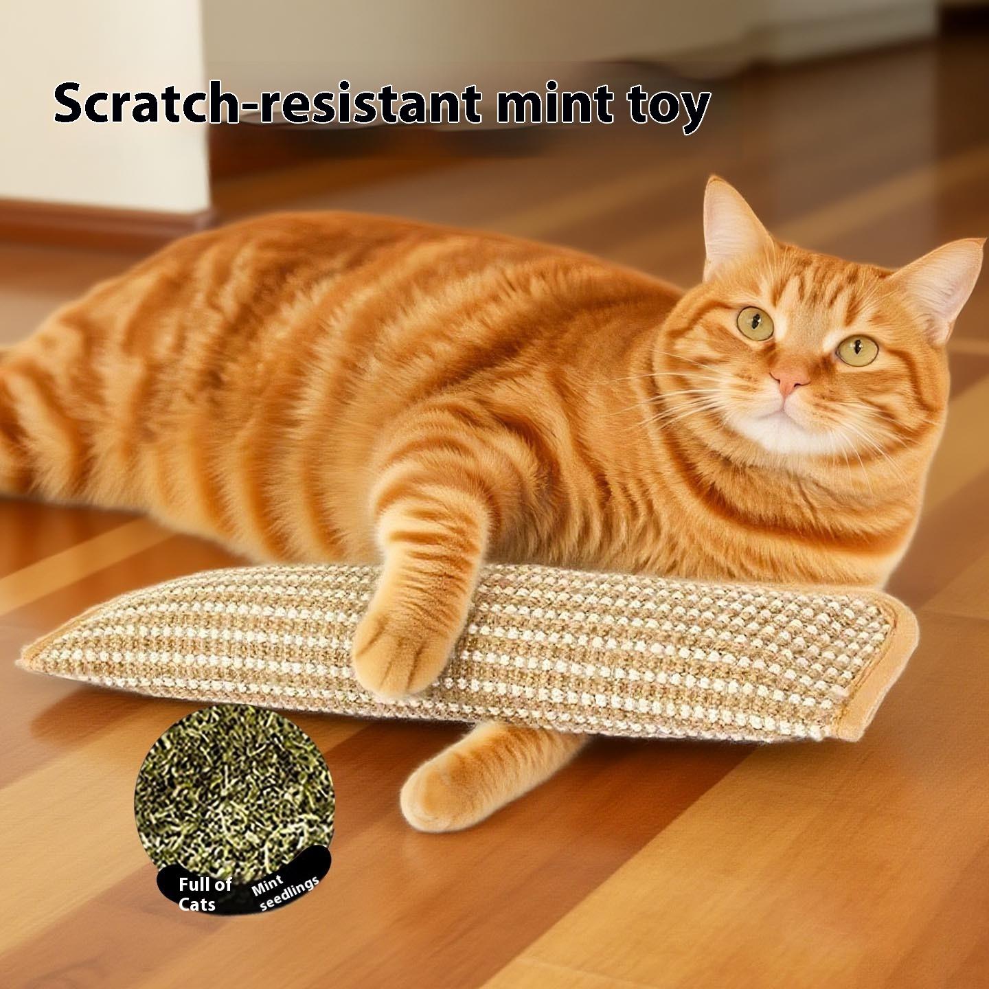 Interactive Catnip Sisal Pillow - Heavy Duty Cat Scratching Pad for Claw Care & Play, Eco-Friendly Natural Fiber Mat for Indoor Kittens & Adult Cats