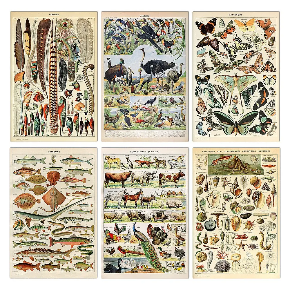 Vintage Poster Wall Art Set of 6, Animal Plant Ocean Life Decor, Christmas Home Office Bedroom Decoration, Species Identification Kit