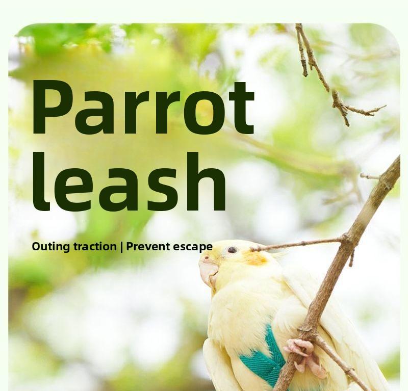 Adjustable Bird Harness Leash 2m Hand Rope Safe Escape Proof for Parrots Conures Cockatiels Outdoor Training Walking Pet Supplies