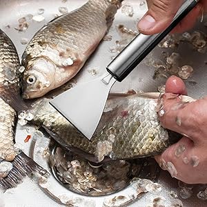 2PCS Stainless Steel Fish Scale Planer Multifunctional Fish Scale Remover Kitchen Utensils