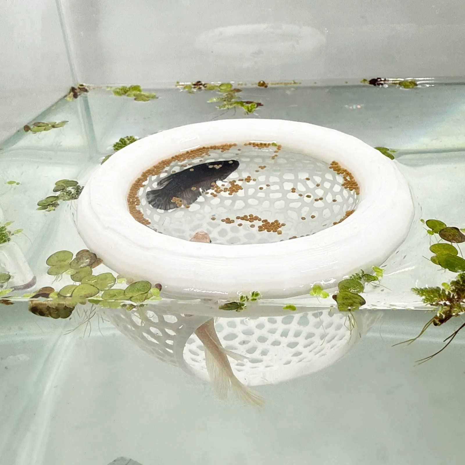 Aquarium Floating Betta Fish Skin Feeder, Cave and Hammock Combo, Small Fish Feeding Ring, Decorative Accessory in