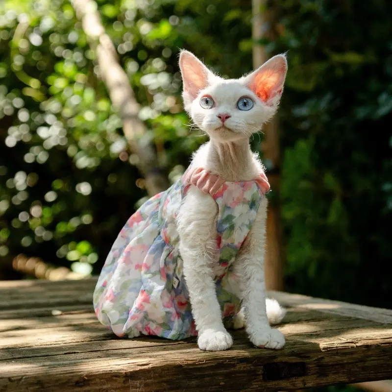Floral Pumpkin Dress for Sphynx Cat Devonshire Cat Princess Style Cute Hairless Cat Outfit Small Pet Apparel