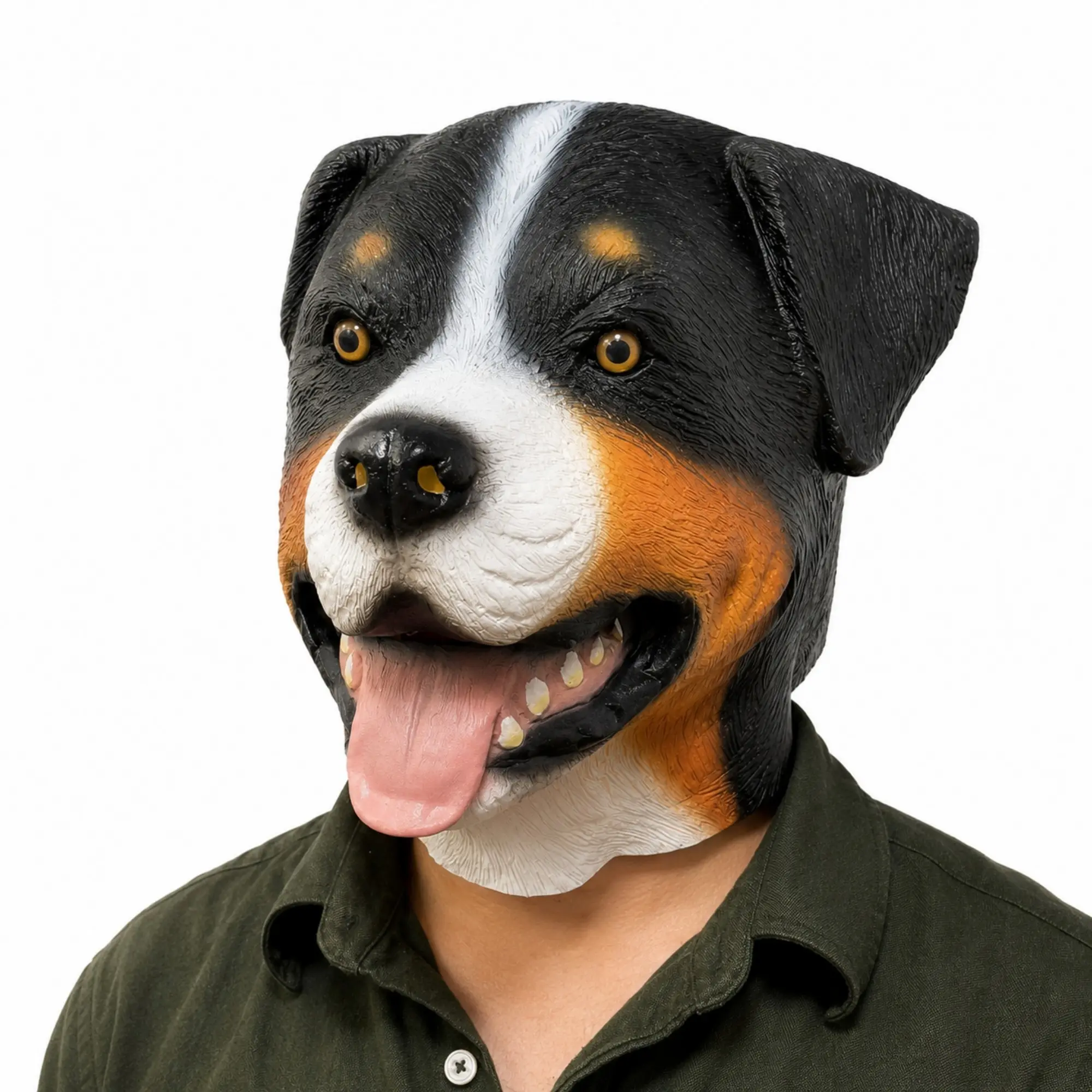 Derby Bernese Mountain Dog Latex Mask for Adults, Realistic Funny Animal Head Cover, Perfect for Halloween, Cosplay, and Pet Videos