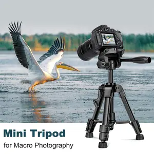 Camera Mini Tripod, Travel Table Tripod with 3-Way Gimbal, 1/4 Inch Quick Release Plate, Dslr Camera Tripod Pouch Included, Camera Accessories