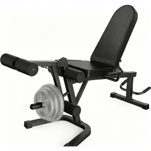 Plate-Loaded Leg Extension & Curl Machine - Adjustable 880LB Capacity Lower Body Strength Training Workout Equipment, Home Gym Gear for Quads, Hamstrings & Glutes Trainer, SummerWins