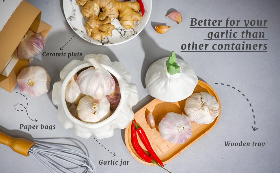 Large Garlic Storage with Lid |   6.7x5.3Inch Modern Ceramic Garlic Keeper Container |   Stylish and Breathable Design for Freshness Preservation |   Perfect for Kitchen Countertop and Refrigerator