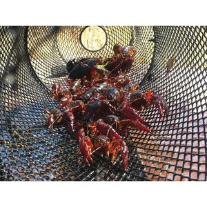 Heavy Duty Torpedo Crawfish Bait Trap Durable Two-Piece Steel Mesh Wire Black Trap with Clip 1 Pack