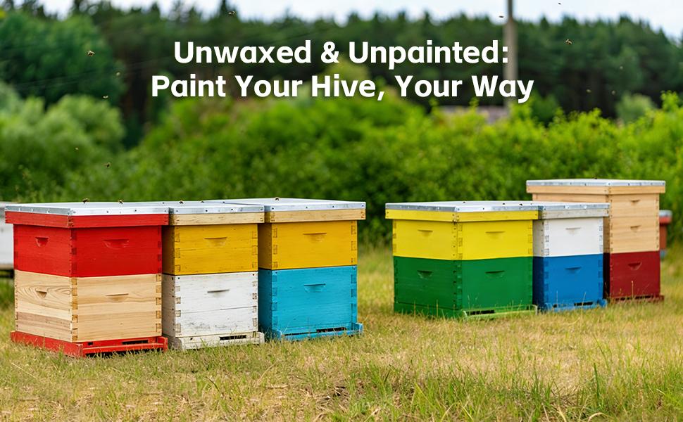 10 Frame Deep Beehive Box,Langstoth Deep Brood Bee Hive Box, Include Beehive Frames and Waxed Foundations