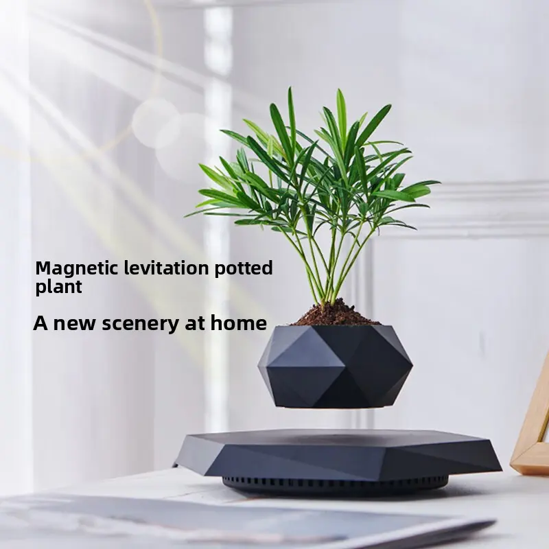 Magnetic levitation plant pot, unique and novel flower pot, creative bonsai craft gift, Father's Day present, living room decoration, beautiful, natural, and high-end