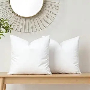 Soft Plush Square Pillow Insert, Allergy-Resistant Fill, Washable Core, Ideal for Sofa, Bedroom, Living Room, Office Decor, 600g Total Weight