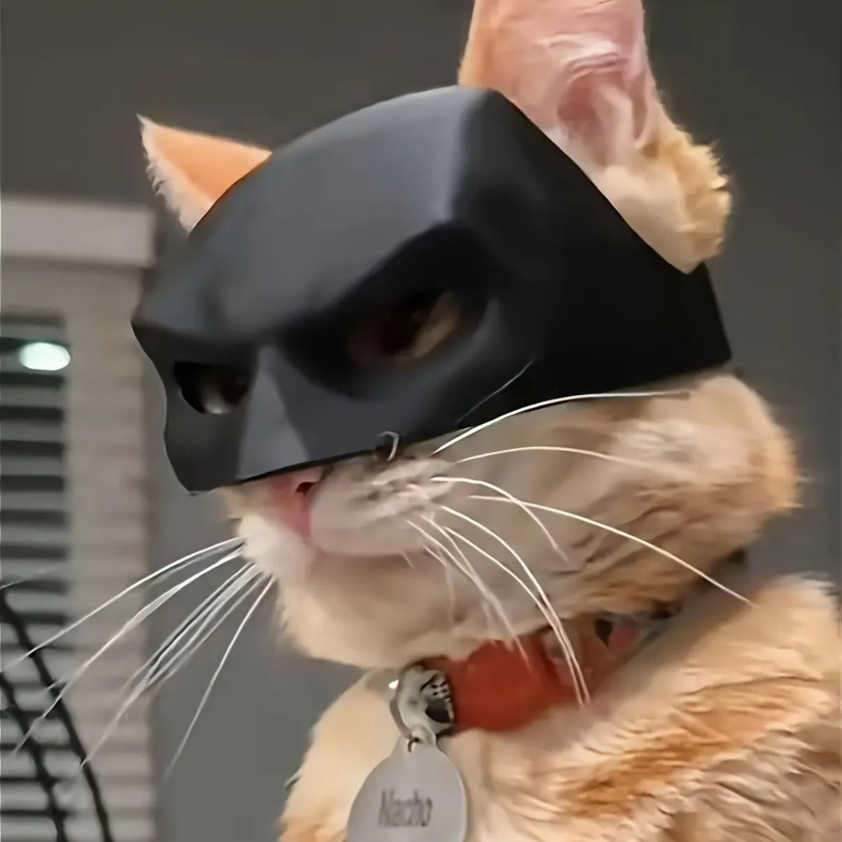 2pcs Halloween Cat Mask Pet Hat, Funny Animal Costume Accessory, Perfect for Parties & Events, Unique Gift Idea for Pets Lovers