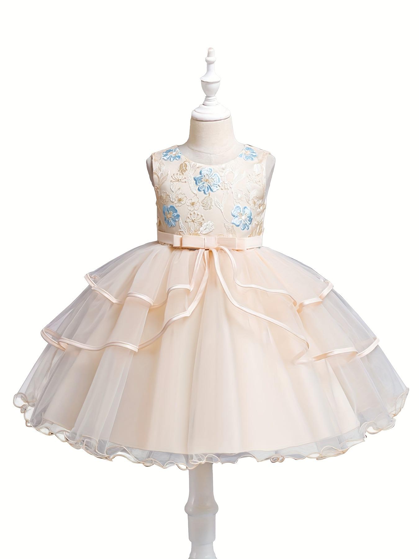 Formal Occasions Girls Mesh Embroidered Puffy A-line Princess Dress Birthday Evening Party Wedding Flower Girls Party Dress Gifts  Gifts